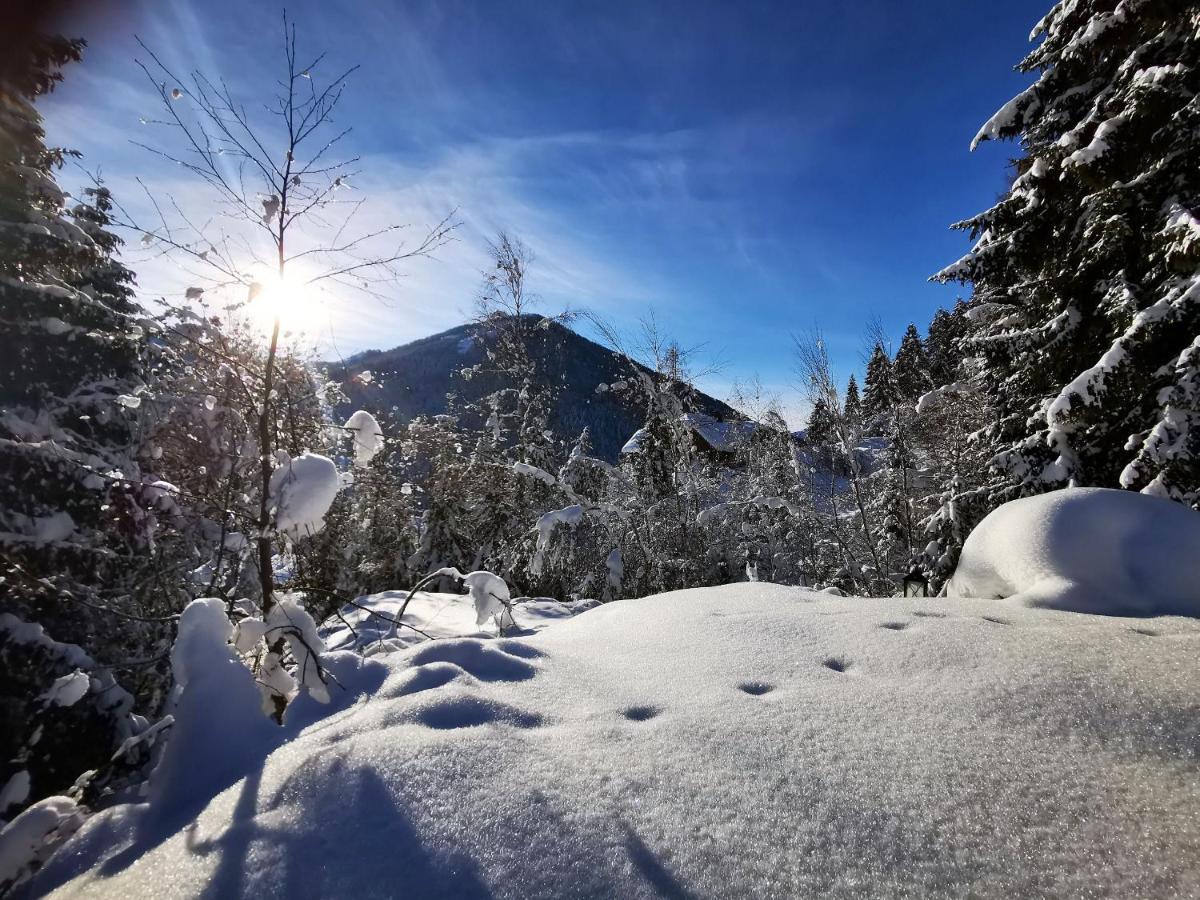 Chalet Caprea Бад Клайнкирххайм Екстериор снимка